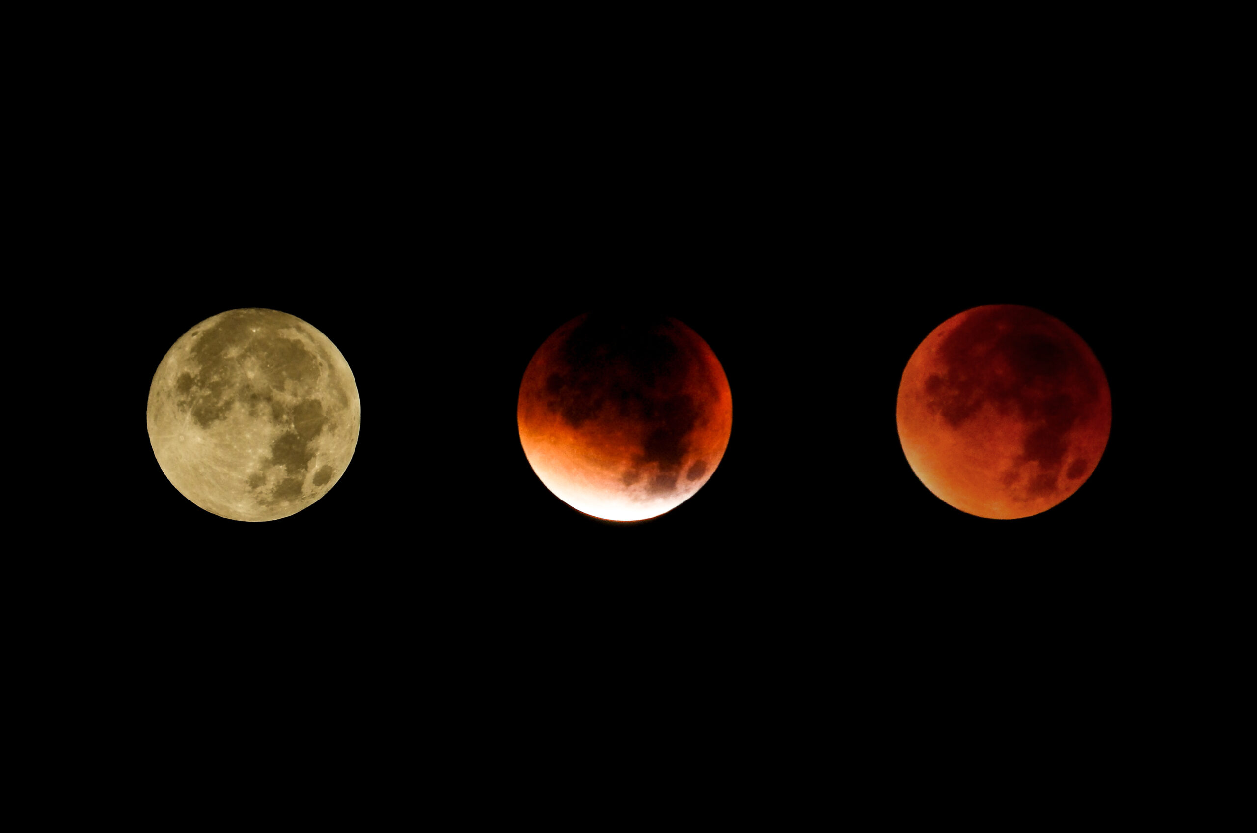The,Course,Of,The,Supermoon,Lunar,Eclipse,,A,Collage,Of