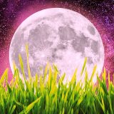 Ολική Έκλειψη Σελήνης! Αποκαλύψεις & κορύφωση κάτω από το φως της για όλα τα ζώδια!